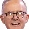 Anthony Albanese Celebrity Mask 1 Anthony Albanese Celebrity Mask -Halloween Costumes Shop anthony albanese mask 333 ref af6b63ea d628 4e8a ba69 a0603e8717c5