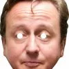 David Cameron Celebrity Mask -Halloween Costumes Shop david cameron mask 432