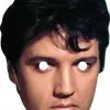 Elvis Presley 319 Celebrity Mask -Halloween Costumes Shop elvis 319b mask