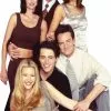 Friends TV Series Group 328 Celebrity Cutout -Halloween Costumes Shop friends 328 celebrity cutout ref