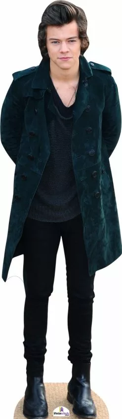 Harry Styles In Green Jacket 373 Celebrity Cutout