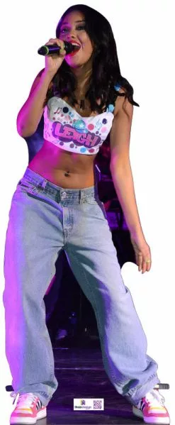 Little Mix Perrie Edwards 700 Celebrity Cutout -Halloween Costumes Shop leigh anne pinnock spl700 1