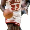 Michael Jordan 877 Celebrity Cutout -Halloween Costumes Shop michael jordan 877 ref
