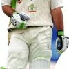 Ricky Ponting 795 Celebrity Cutout -Halloween Costumes Shop ricky ponting 795 ref